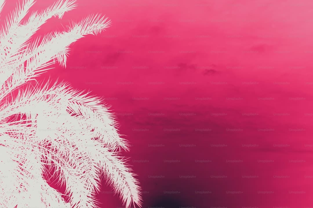 股票交易的根本流程